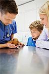 Veterinarian and owners examining guinea pig in vet's surgery
