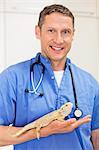 Smiling veterinarian holding lizard in vet's surgery