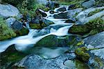 Time lapse view of water rushing over rocks