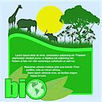 Green bio poster with trees and wild animals and space for your text, vector illustration