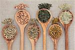 Herb selection for alternative health remedies in olive wood spoons over beige textured background.