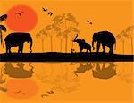 African wildlife at sunset, with elephants near water, vector illustration