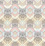 Cute owl seamless pattern with native elements