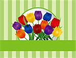 Colorful Tulip Flowers for Easter or Mothers Day on Green Stripes Pattern Background Illustration
