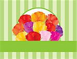 Colorful Rose Flowers for Valentines or Mothers Day on Green Stripes Pattern Background Illustration