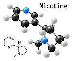 structural model of nicotine molecule