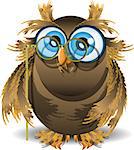 illustration wise owl with blue eyes and glasses