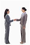 Two businesswomen shaking hands against white background