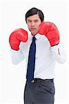 Young tradesman with boxing gloves against a white background