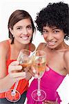 Young females smiling and clinking glasses of white wine