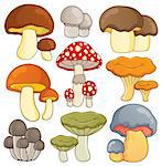 Mushroom theme collection 1 - vector illustration.