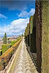 Gardens of La Alhambra in Granada, Spain