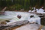 Photo was taken in Jasper National Park, Alberta, Canada.