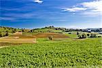 Beautiful green nature under blue sky, Prigorje region of Croatia