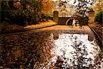 old stone bridge over canal during autumn