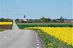 Road to church in springtime at the island oland in sweden.