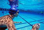 Caucasian female swimmers swimming in pool