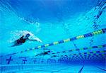 Four female professional participants racing in pool