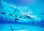 Group of female swimmers racing together in swimming pool