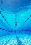 Underwater shot of male athlete swimming in pool