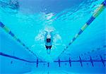 Underwater shot of young male athlete swimming in pool