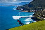Hang glider taking off from cliff, looking south towards Wollongong from Stanwell Tops Lookout at Royal National Park, Sydney, New South Wales, Australia