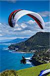 Paraglider taking off from cliff, looking south towards Wollongong from Bald Hill Lookout, Bald Hill Headland Reserve, Illawarra, Wollongong, New South Wales, Australia