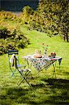 A Table Set Outside in the Country with a Peach Dessert