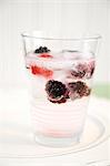 Raspberry and Blackberry Spritzer