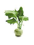 Kohlrabi with leaves