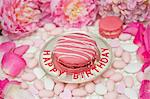 Pink macaroon striped with icing on a silver plate, surrounded by sugared almonds, peonies and rose petals
