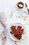 Home-made chocolate ice lollies with redcurrants