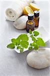 Sprig of lemon balm, fresh herbs, lemon, a towel and bottles of essential oil for aromatherapy