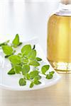 Herbs with aromatic oil for aromatherapy