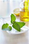 Lemon balm with bottles of aromatic oil for aromatherapy