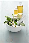 Still life of mortar and pestle with fresh herbs, chamomile, bottles of essential oil for aromatherapy