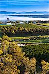 Aerial view of wine country near Pokolbin, Hunter Valley, New South Wales, Australia