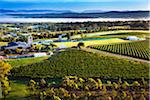 Aerial view of wine country near Pokolbin, Hunter Valley, New South Wales, Australia