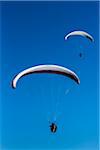 Paragliders off Bald Hill Lookout, Bald Hill Headland Reserve, Illawarra, Wollongong, New South Wales, Australia