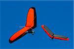 Hang gliders at Bald Hill Lookout, Bald Hill Headland Reserve, Illawarra, Wollongong, New South Wales, Australia