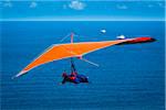 Hang glider at Stanwell Tops Lookout at Paragliders at Bald Hill Lookout, Bald Hill Headland Reserve, Illawarra, Wollongong, New South Wales, Australia