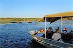 Elephant walking through Chobe River, Chobe National Park,  near the town of Kasane, Botswana, Southern, Africa,