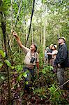 South America, Brazil, Amazonas, tourists spotting wildlife in the rainforest with a guide from the Tucano river boat