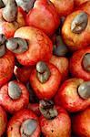 South America, Brazil, Ceara, Fortaleza, Cashew fruit for sale in the Central Market, showing the nut attached to each fruit