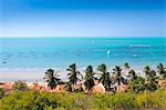 South America, Brazil, Ceara, Ponta Grossa, view of jangadas moored on an aquamarine coral sea in front of a palm tree fringed white sand beach