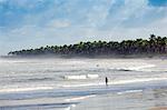 South America, Brazil, Alagoas, Praia do Frances, general view of Frenchmans Beach, Praia do Frances, near Marechal Deodoro