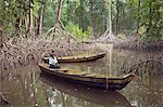 South America, Brazil, Para, Amazon, Marajo island, local fishermen with wooden canoes in red mangrove forest near Soure