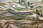 China, Yunnan, Yuanyang. Pattern of rice terraces at Tiger's Mouth, Laohuzi, Yuanyang.