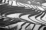 China, Yunnan, Yuanyang. Pattern of rice terraces at Bada, Yuanyang.