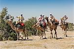 Chad, Kanem, Bahr el Ghazal, Sahel. A group of Kreda men ride their camels near the Bahr el Ghazal seasonal river.